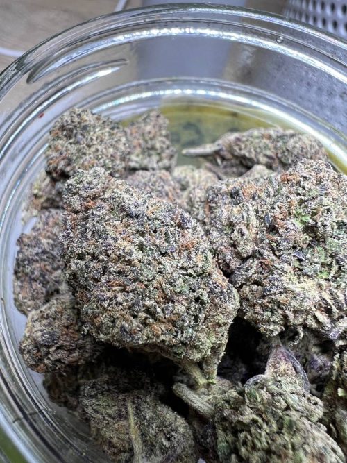 Purple Passion Strain