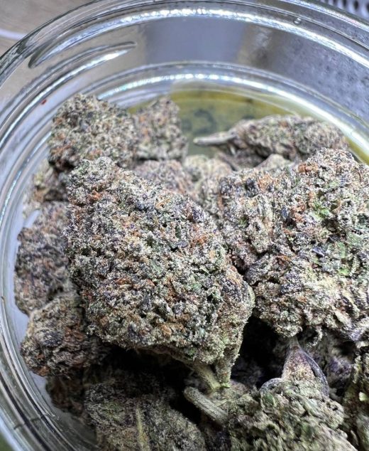 Purple Passion Strain