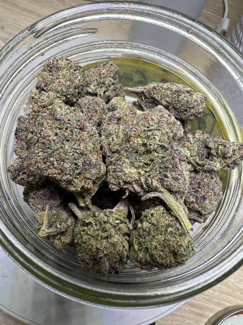 Purple Passion Strain - Image 2