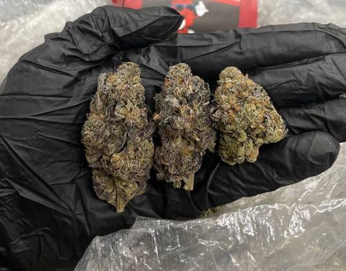 Gassy Taffy Strain - Image 2