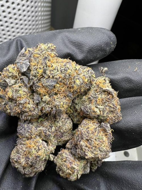 Apple Gelato Strain - Image 2