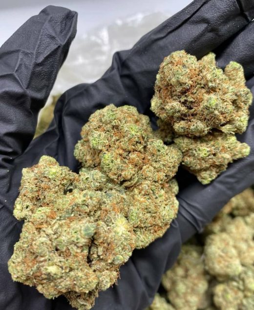 Jelly Mintz Strain