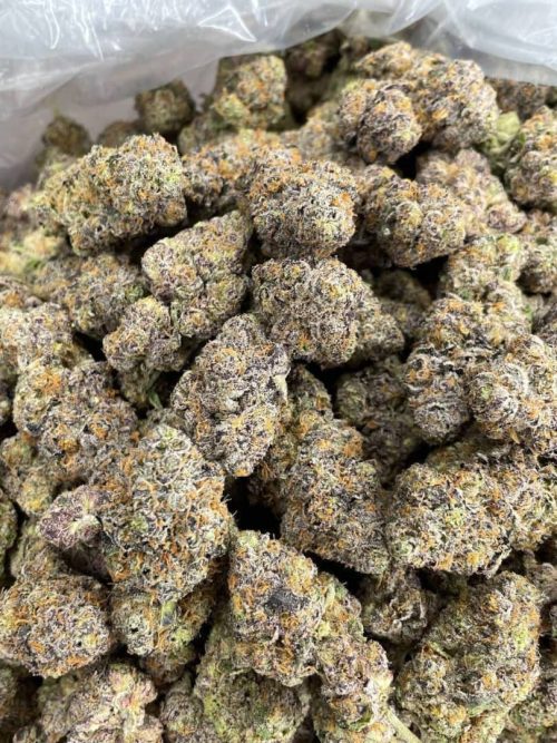 Jelly Mintz Strain - Image 2