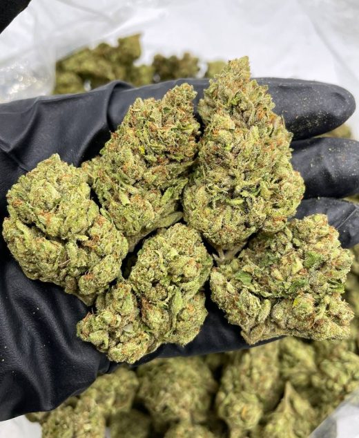 SFV OG Strain