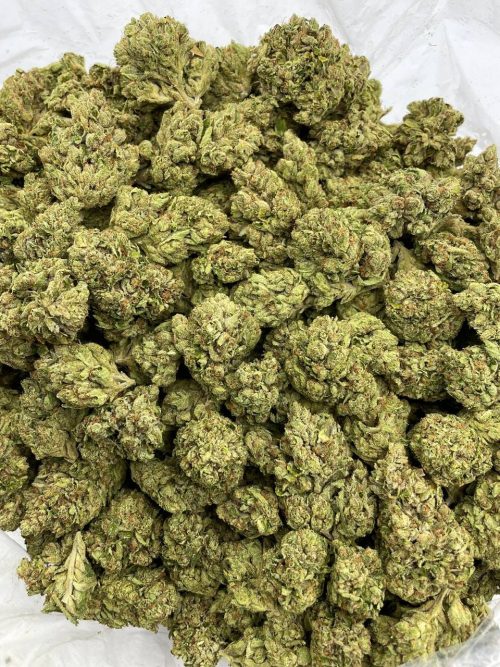 SFV OG Strain - Image 2