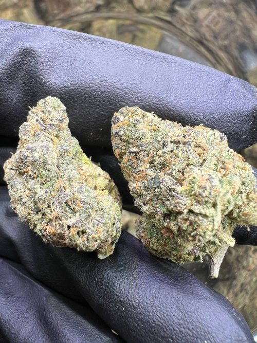 Tahiti Lime Strain - Image 2