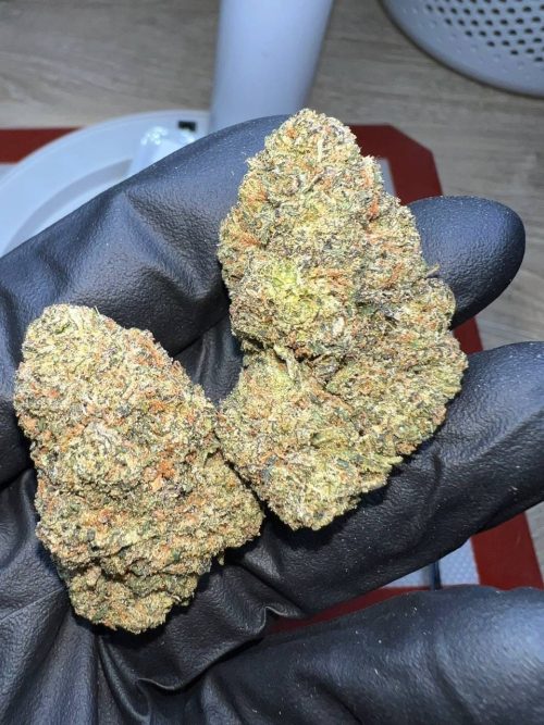 Red Mimosa Strain - Image 2