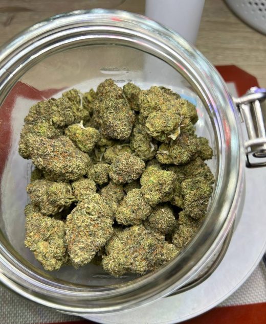 Red Mimosa Strain