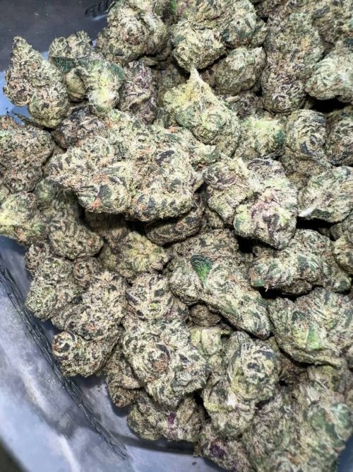 Rotten Rozay Strain - Image 2