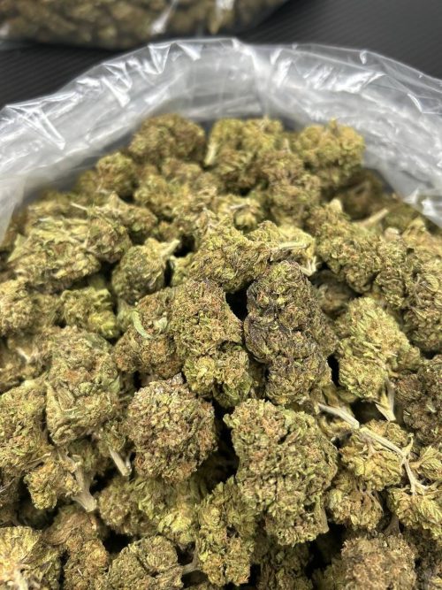 Sour Kush Strain - Image 2