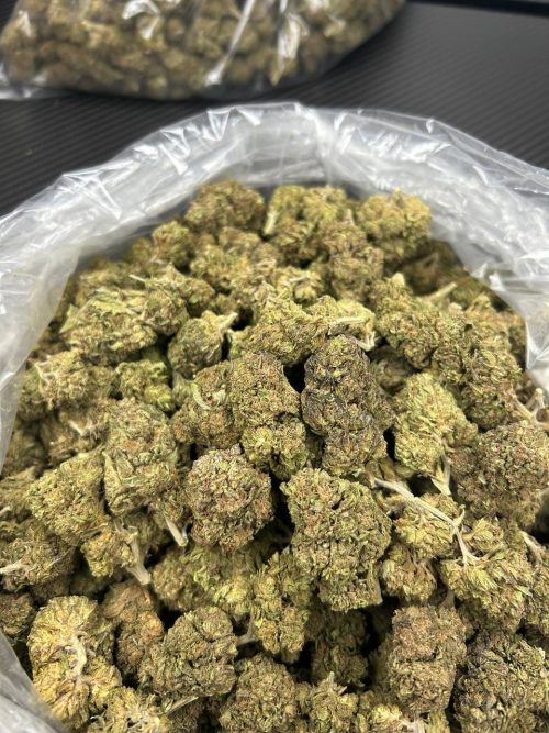 Sour Kush Strain