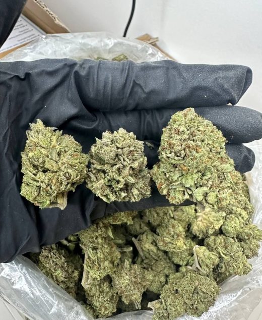 Hindu Kush Strain