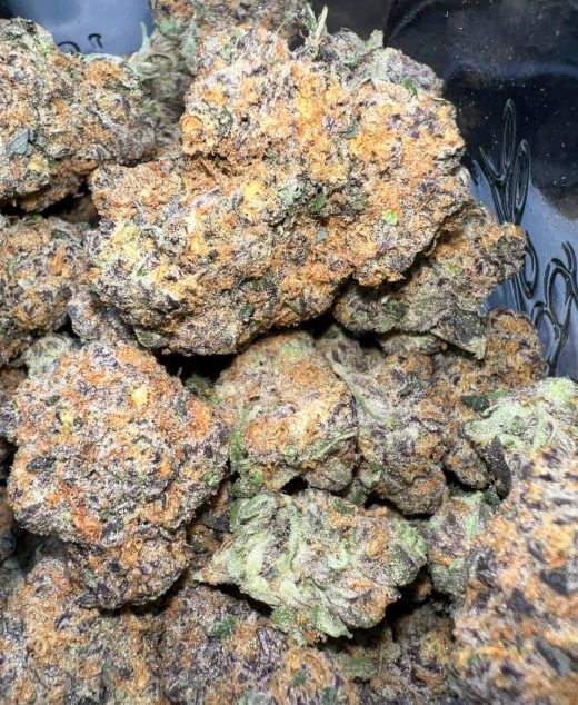 Blue Lobster Strain