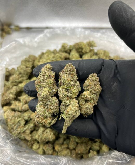 Goofy Strain