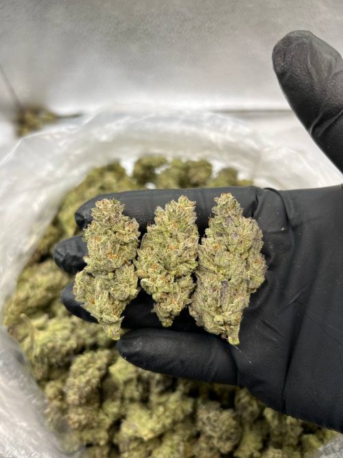 Goofy Strain - Image 2