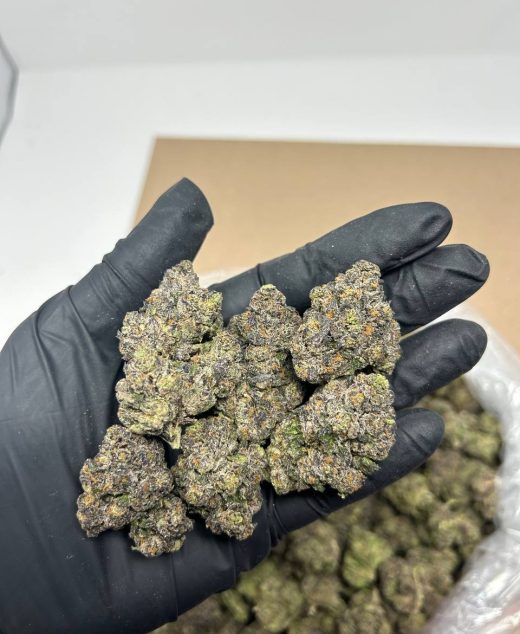 Sticky Buns Strain