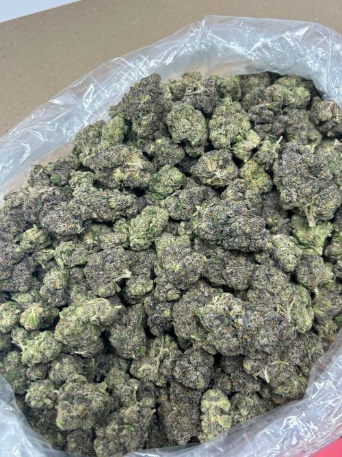 Sticky Buns Strain - Image 2