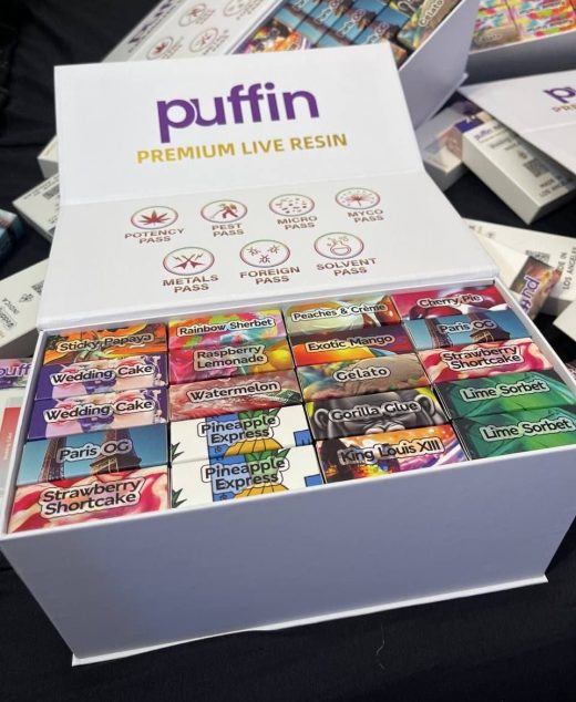 Puffin Disposable