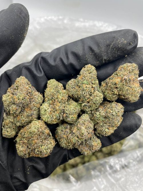Godfather OG - Image 2