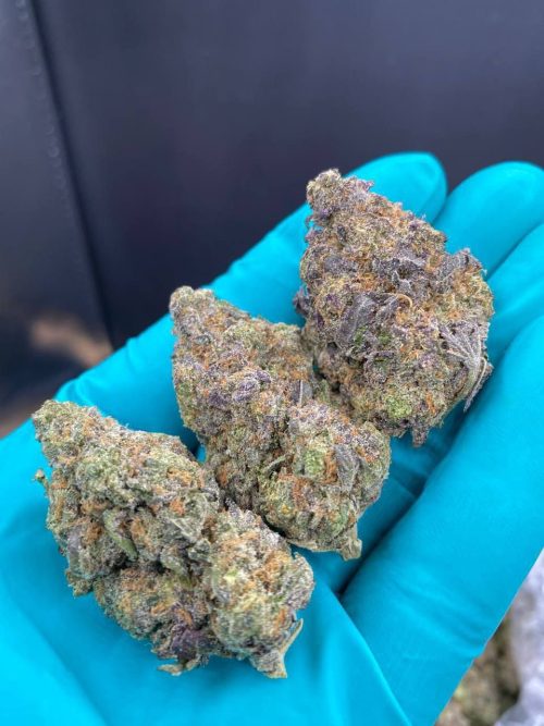 Girl Scout Cookies Strain - Image 2