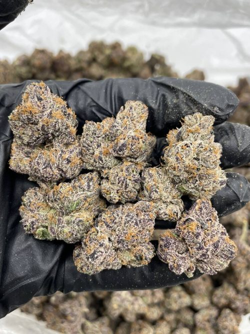 Orange Crush Strain