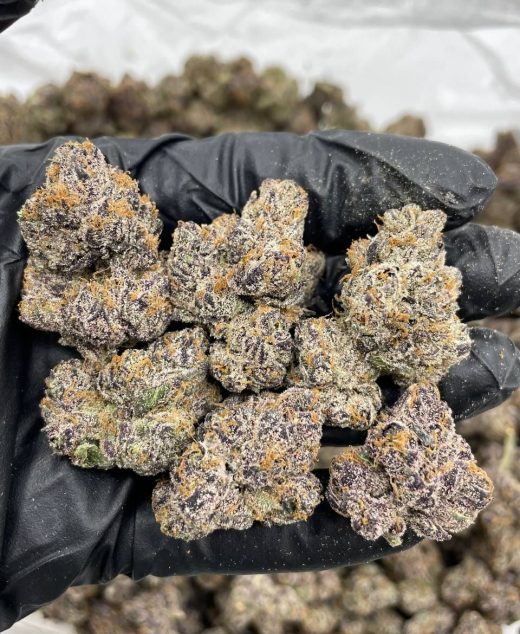 Orange Crush Strain