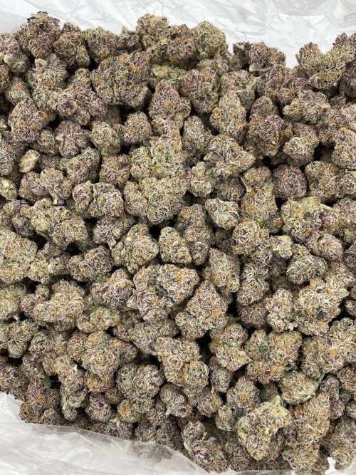 Orange Crush Strain - Image 2