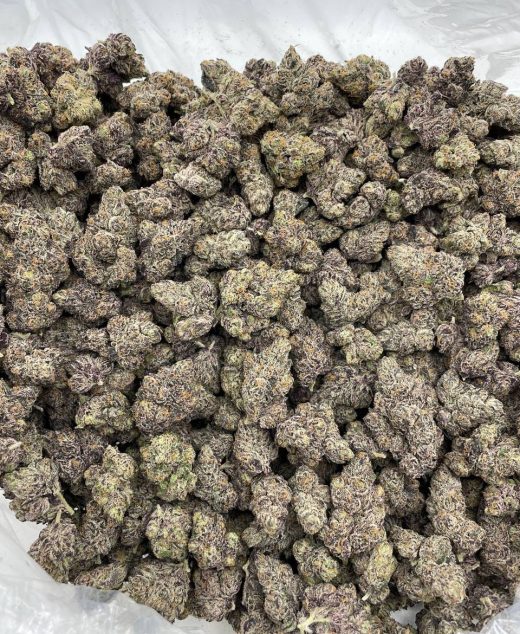 White Rainbow Strain