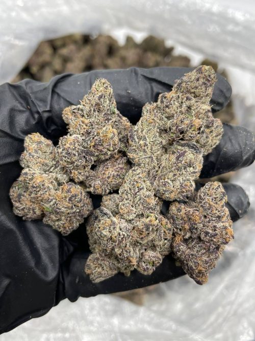 White Rainbow Strain - Image 2