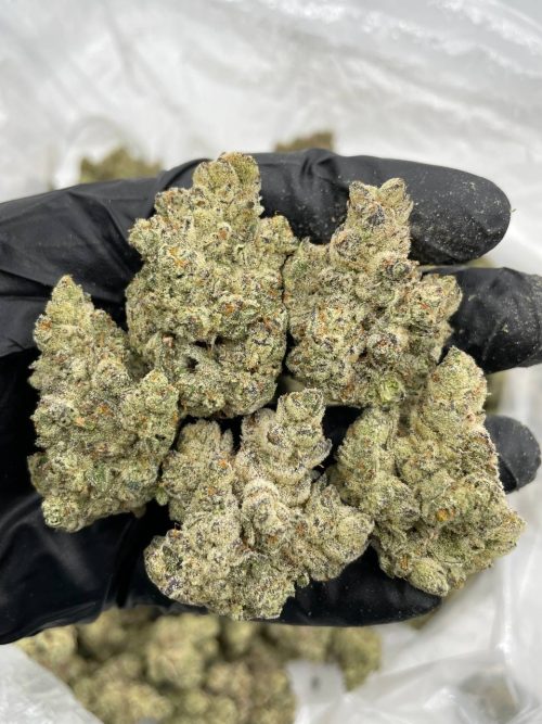 Mac 1 Strain - Image 2