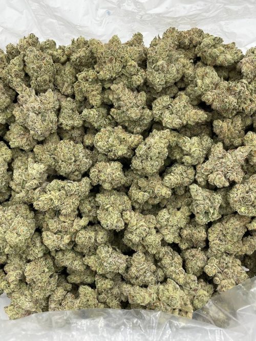 Mac 1 Strain