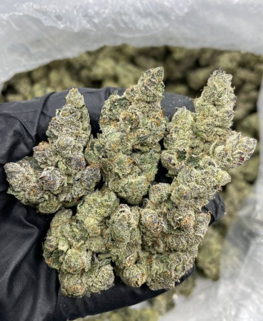 Laffy Taffy Strain