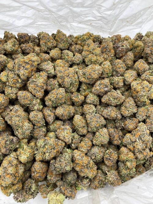 Dosi Face Strain - Image 2