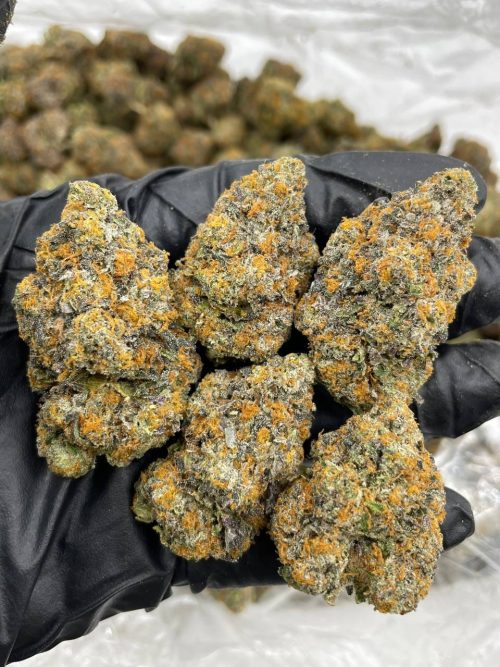 Dosi Face Strain