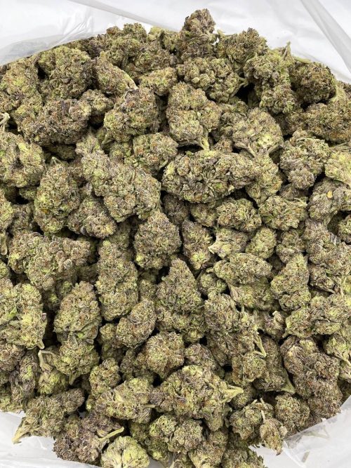 Space Runtz Strain - Image 2