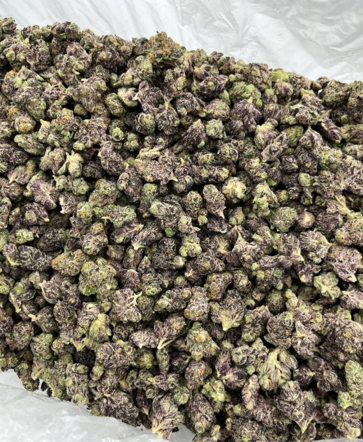 Sour OG Strain