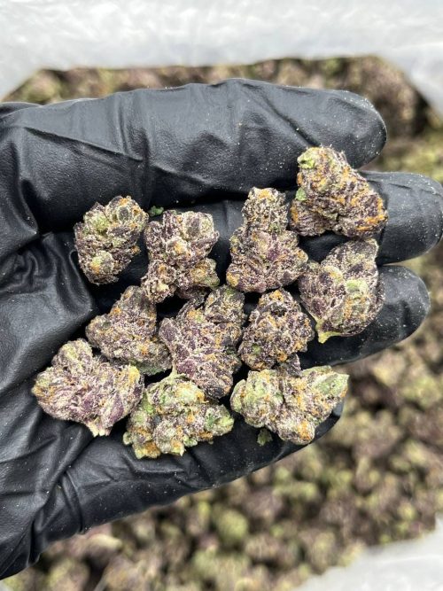 Sour OG Strain - Image 2