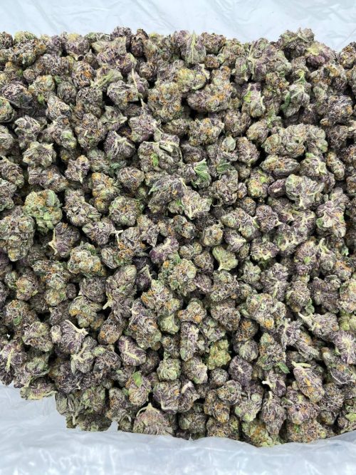 Rainbow 41 Strain - Image 2