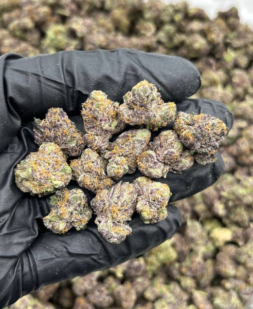Rainbow 41 Strain