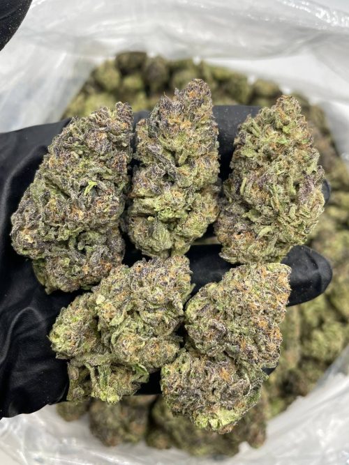 Gas Mask Strain - Image 2