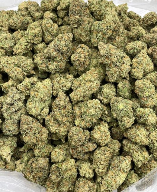 Pancake Strain