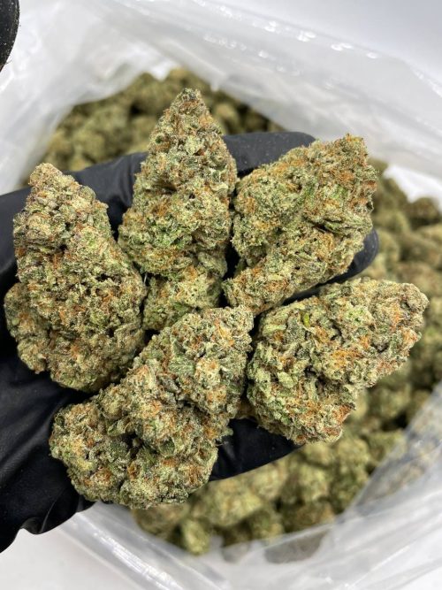 Pancake Strain - Image 2