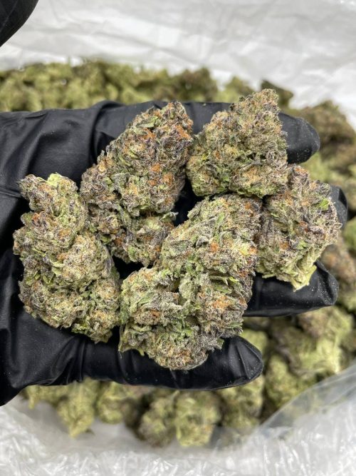 Berry Gelato Strain - Image 2