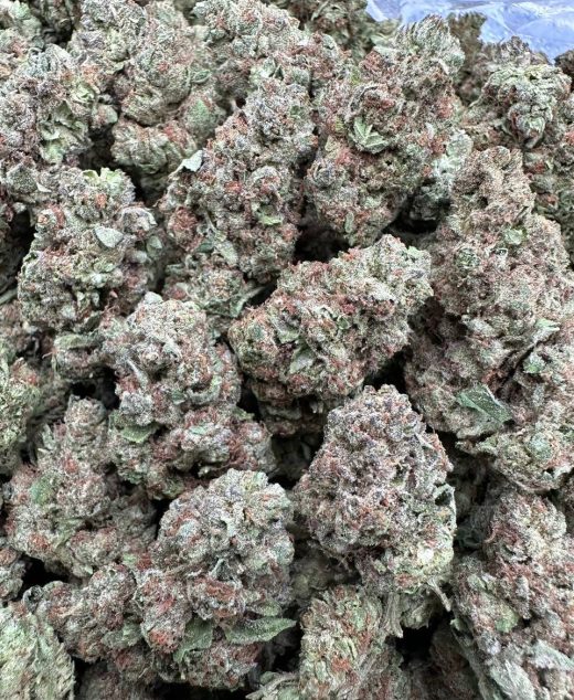 Super Runtz Strain