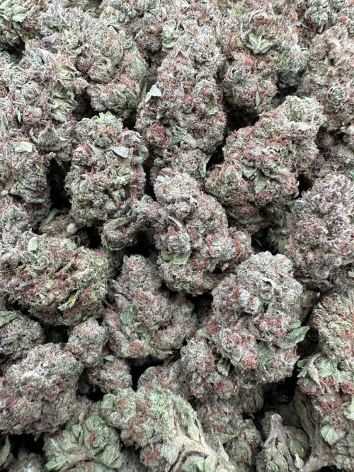 Super Runtz Strain - Image 2