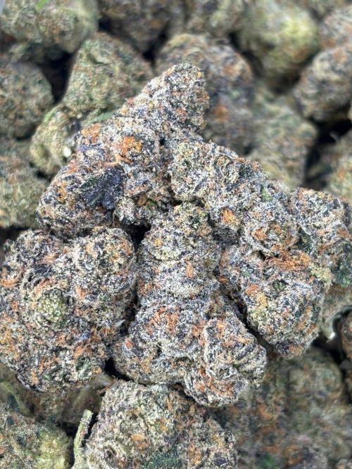 Bahama Zootiez Strain - Image 2