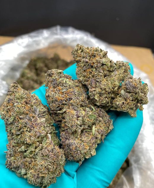 Sunset Mac Strain
