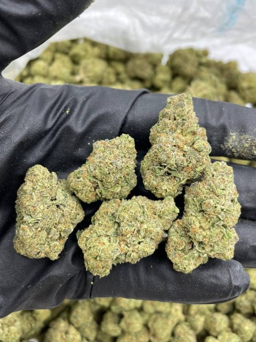 White Mochi Strain - Image 2