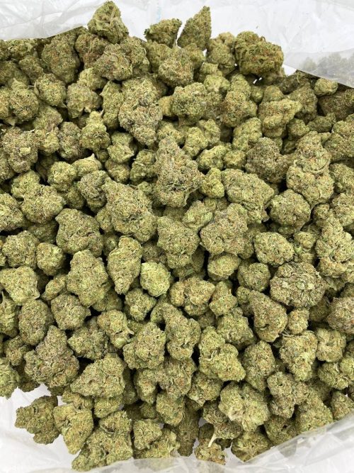White Mochi Strain