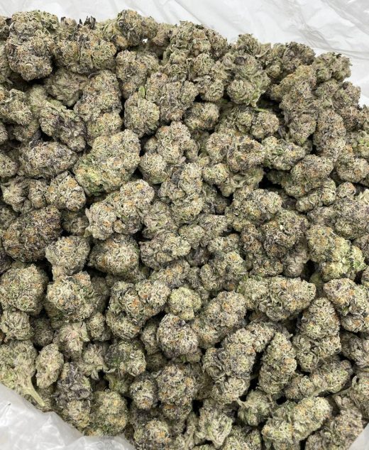 Baja Blast Strain
